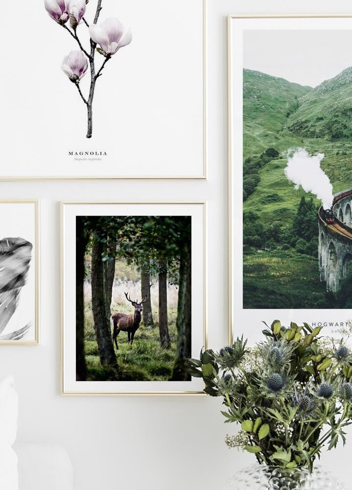 Stag Poster