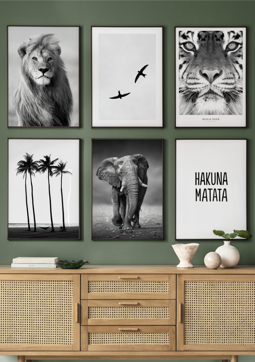 Majestic Elephant Poster