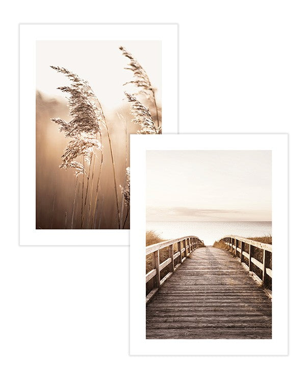 Soft Brown Poster pack