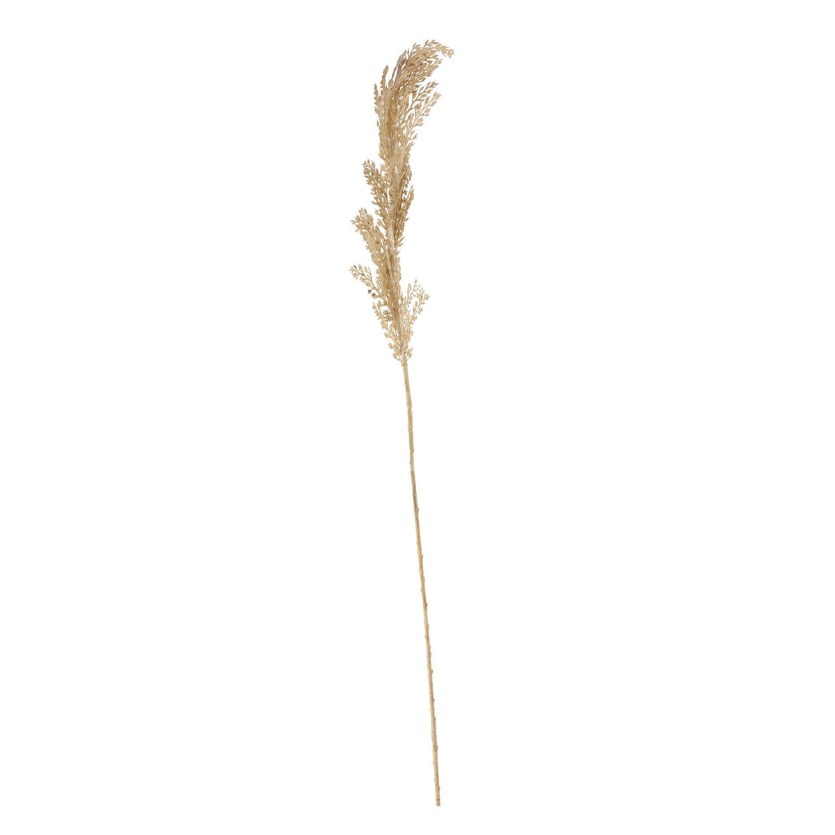 Dry Grass Spray (65cm)