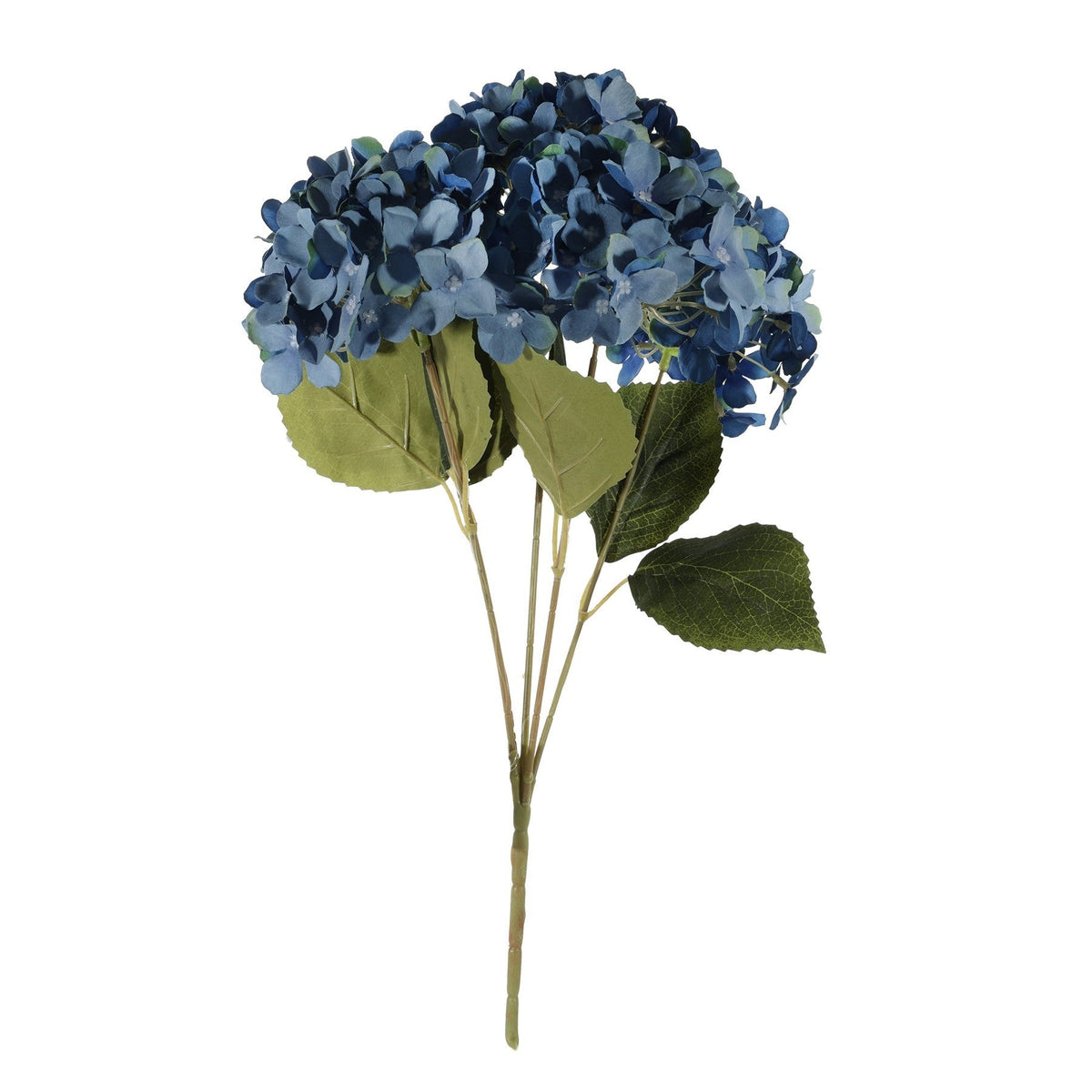 Essential Blue Hydrangea Bush (36cm)