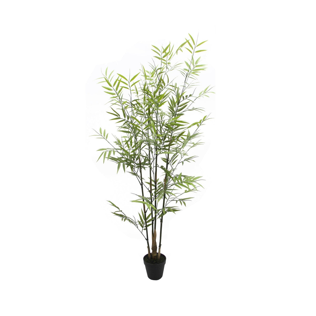UV Botanica Bamboo Plant (121cm)