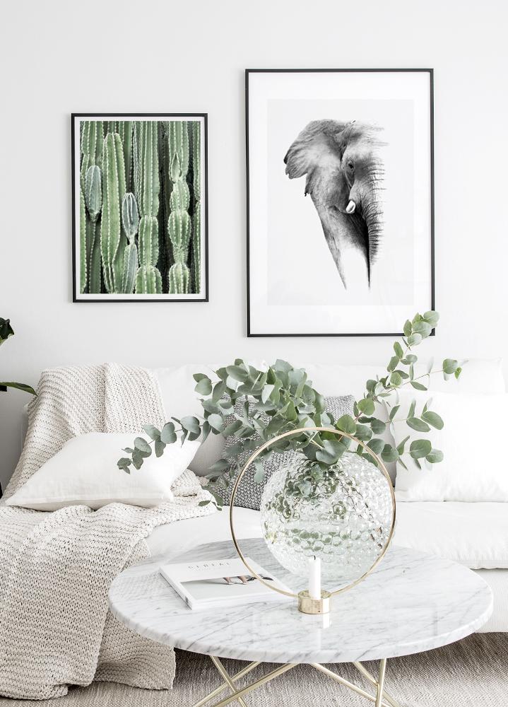 Cactus Poster