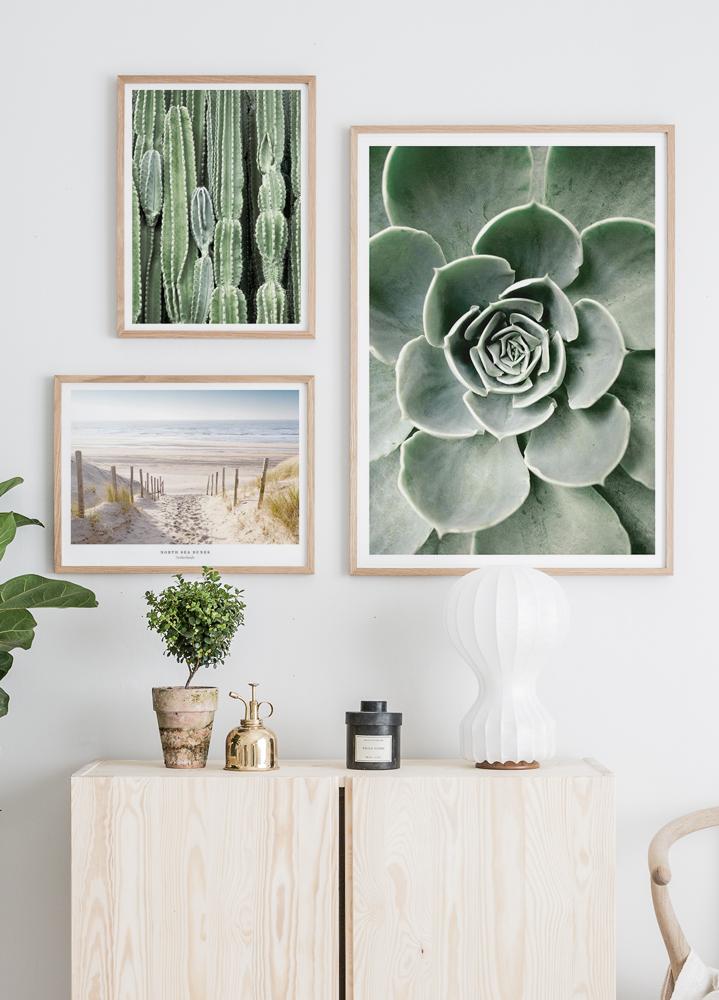 Cactus Poster