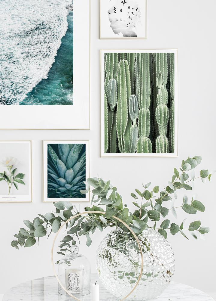 Cactus Poster