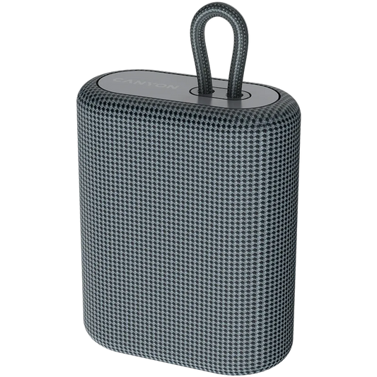 Portable Bluetooth Speaker 5W TWS FM Radio TF Card 1200mAh BSP-4 CANYON