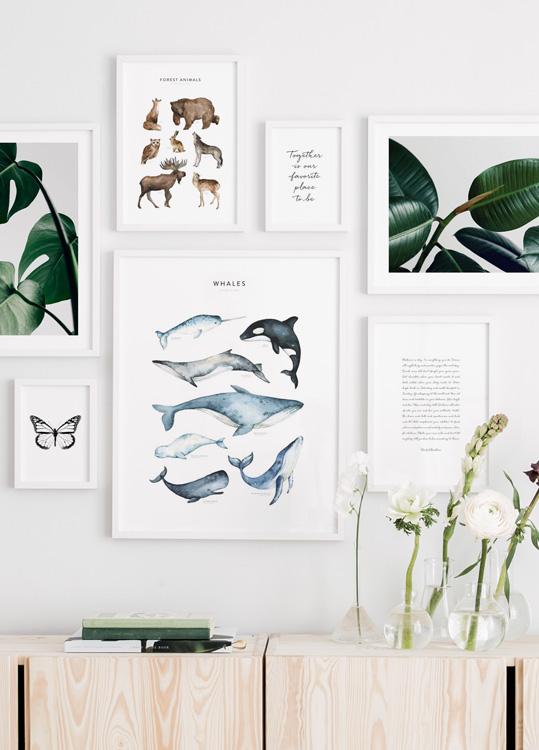 Whales Poster