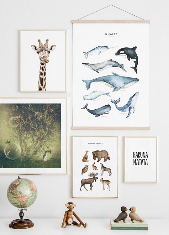 Whales Poster