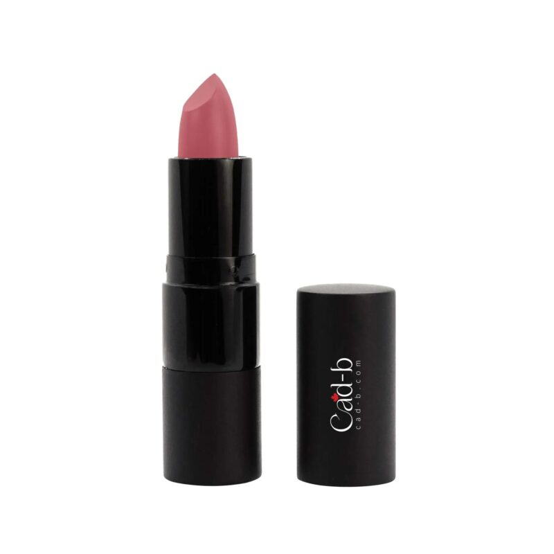 Lipstick Allure - P009 | Vegan, Paraben Free, Vitamin E intensifies lip hydration