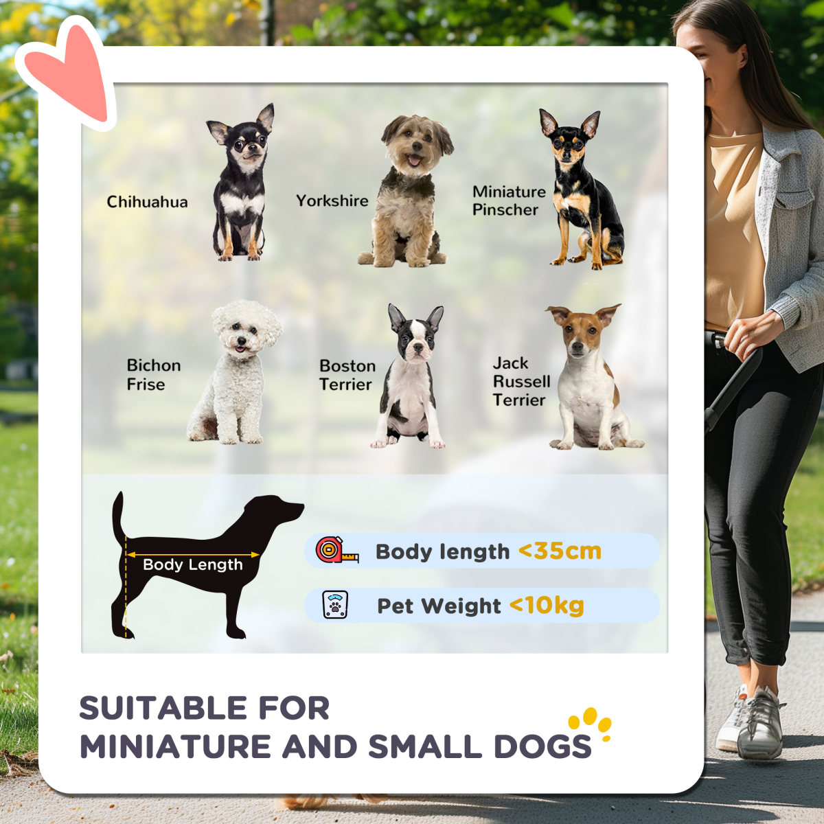 Pet Stroller Carrier Foldable Deluxe Jogger Travel Dog Cat 4 Wheels Pawhut