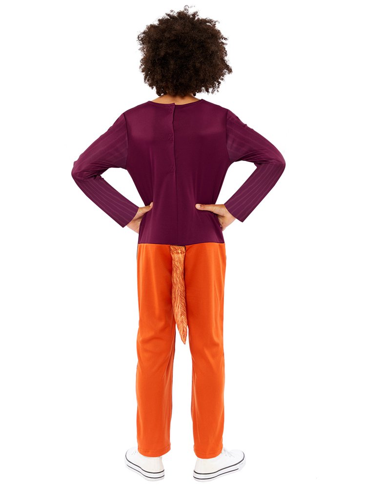 Roald Dahl Fantastic Mr Fox - Child Costume