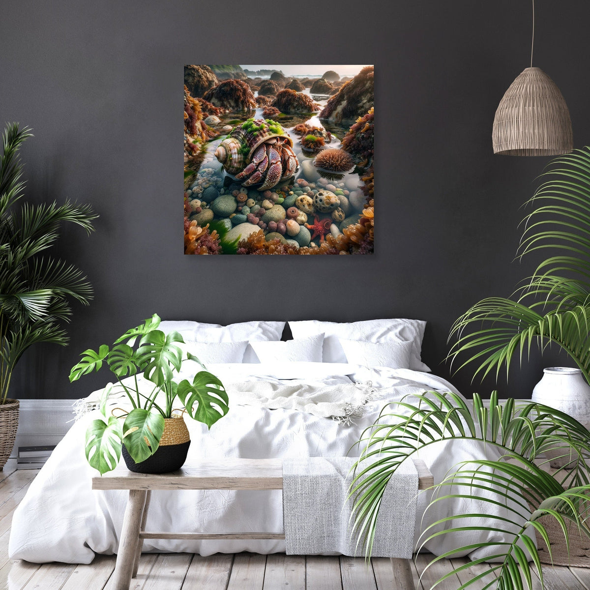 Tide Pool Hermit Crab Canvas