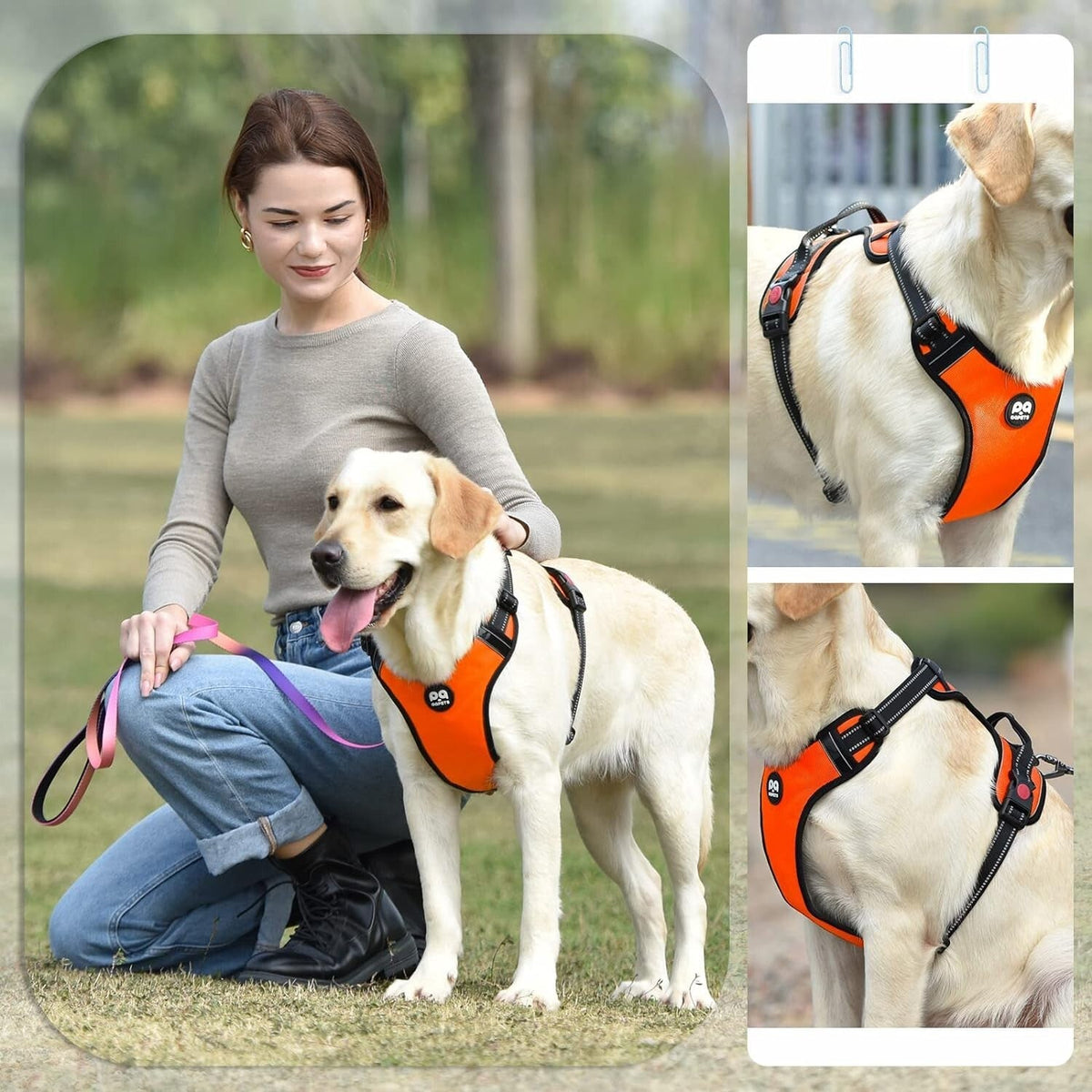 Roses&Poetry Dog Pet Harness Reflective No Pull Handle Adjustable