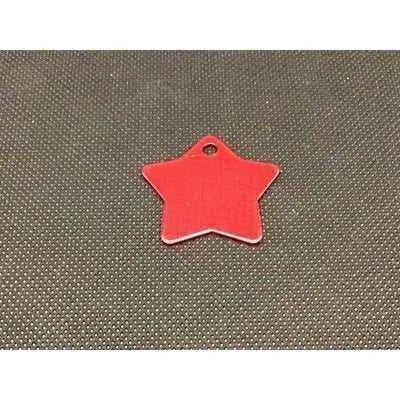 Engraved Pet Name Tag