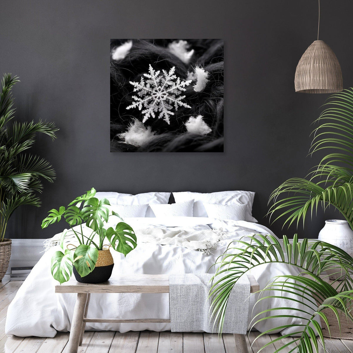 Fragile Contrast Canvas