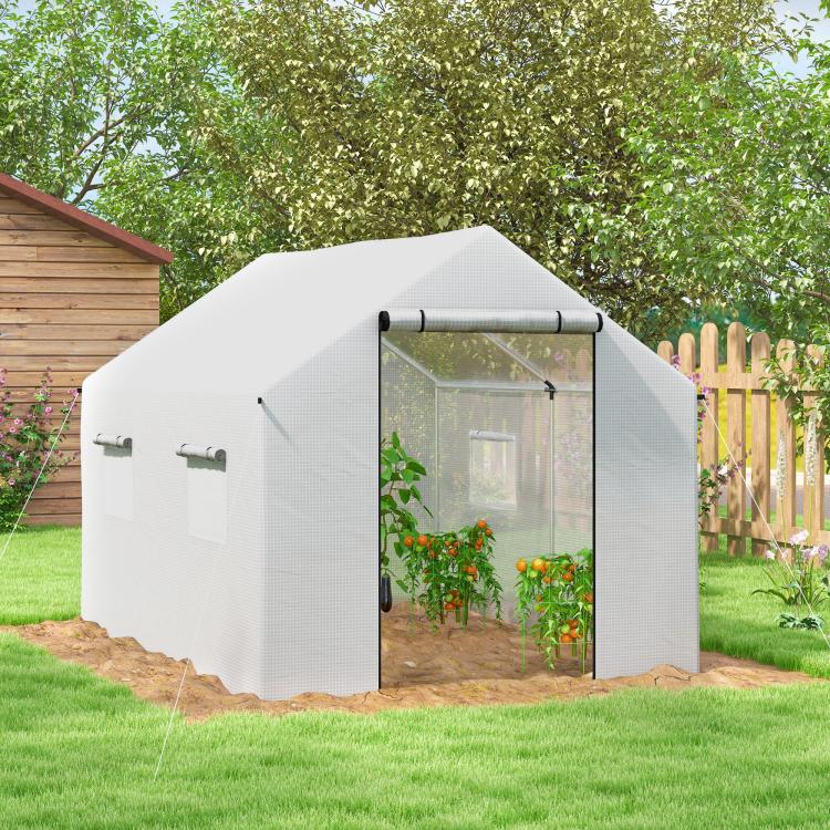 Polyethylene Walk-in Polytunnel Greenhouse, 2 x 3(m), White