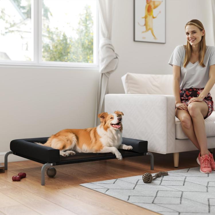 Elevated Dog Bed with Removable Bolsters, Raised Dog Bed for Medium Breeds, Portable Indoor & Outdoor Pet Cots, Black