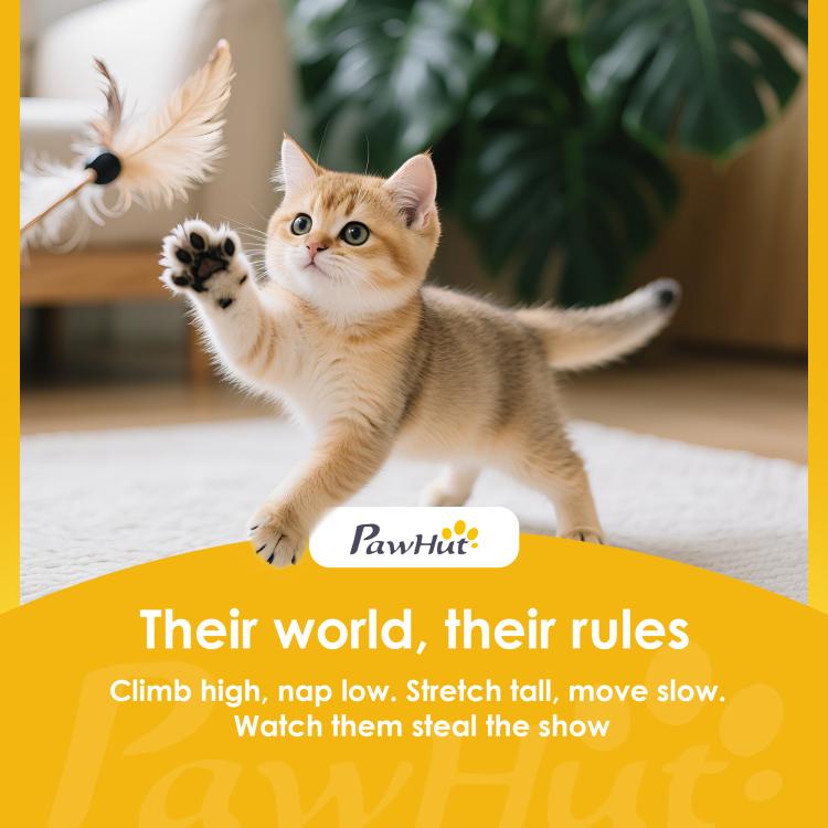 Multi-Level Cat Tower, 134cm Cat Tree with Condo and Sisal Scratching Posts for Indoor Kittens, Grey