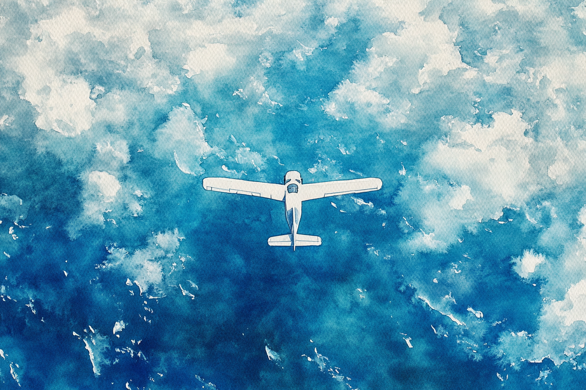 Aerial Sea Journey Canvas