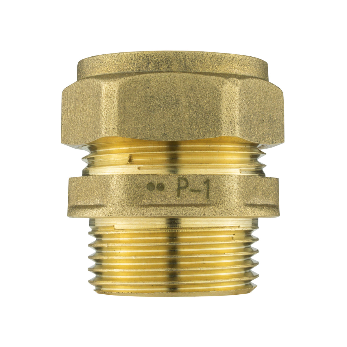 Brass Compression 22mm Straight with 20mm MDPE Straight