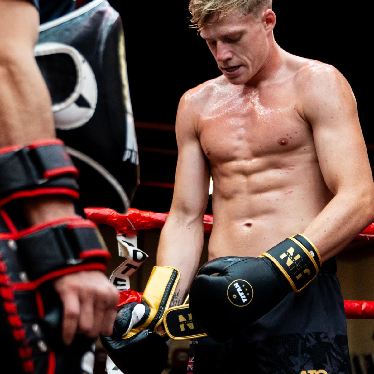 Velocity 3.0 Velcro Boxing Gloves – Midnight Black