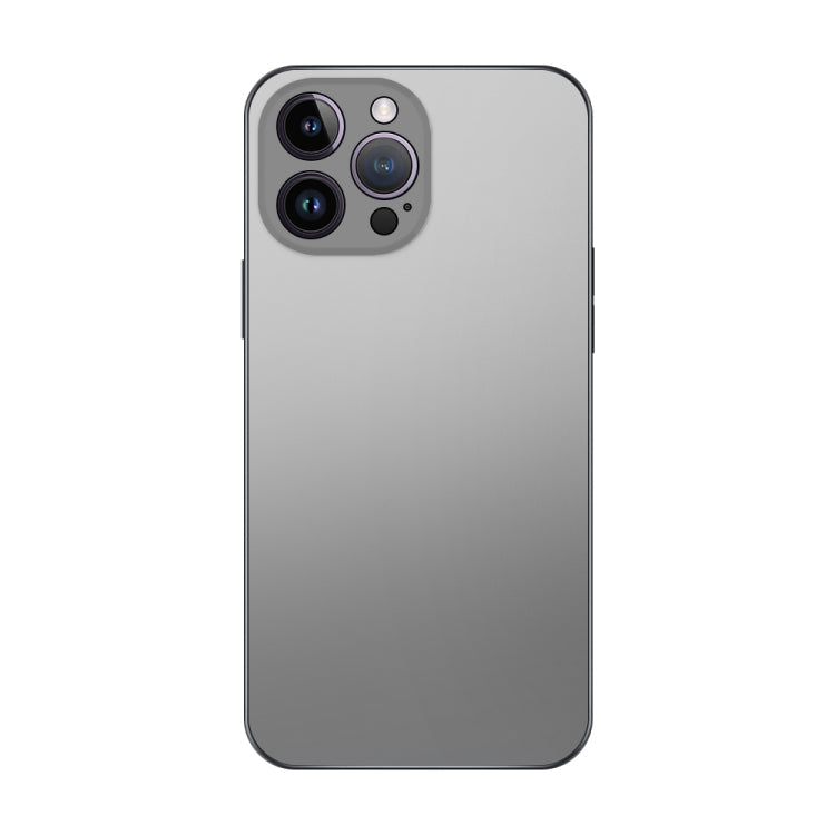 Electroplating AG Frosted Phone Case, For iPhone 13 Pro Max, For iPhone 12, For iPhone 12 Pro