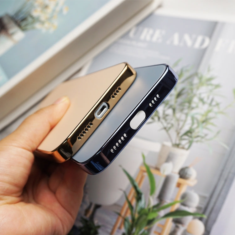 Electroplating AG Frosted Phone Case, For iPhone 13 Pro Max, For iPhone 12, For iPhone 12 Pro