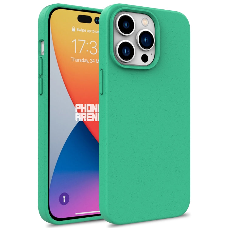 Wheat Straw TPU Phone Case, For iPhone 16 Pro, For iPhone 16 Plus, For iPhone 16