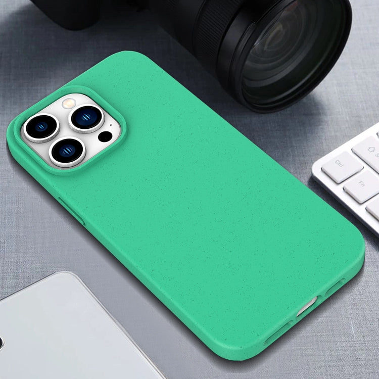 Wheat Straw TPU Phone Case, For iPhone 18, For iPhone 18 Pro, For iPhone 18 Pro Max