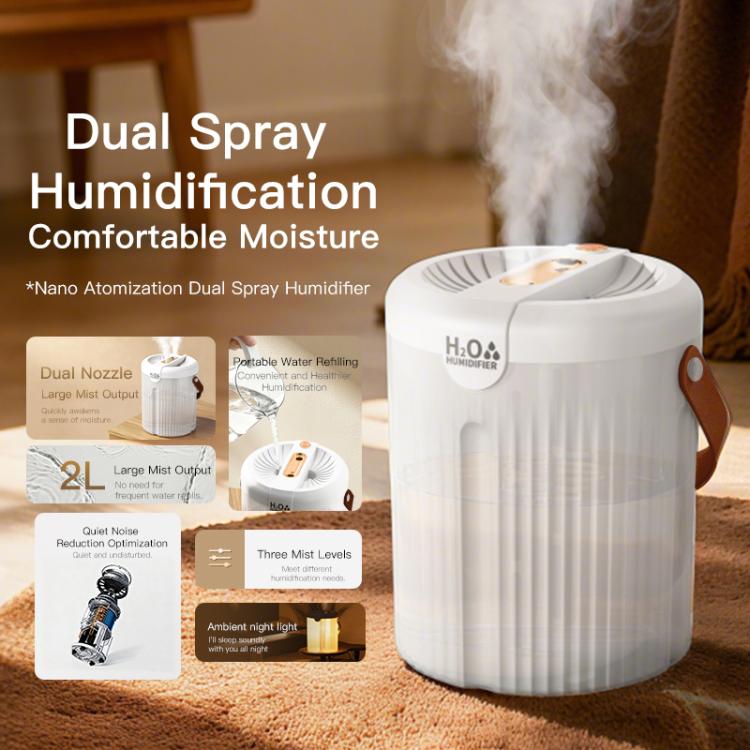 Dual-hole 2L Large Capacity Desktop Humidifier