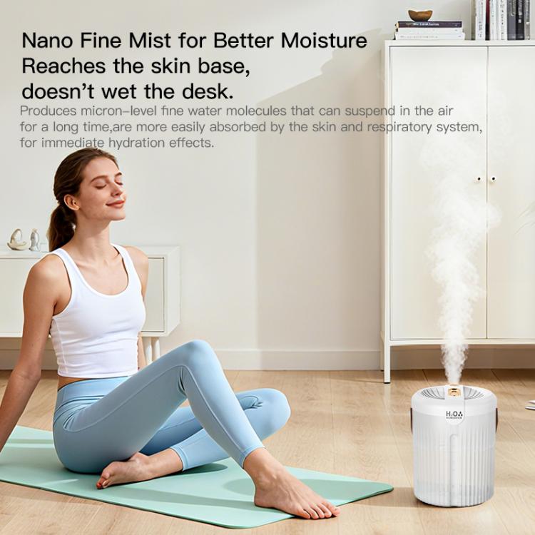 Dual-hole 2L Large Capacity Desktop Humidifier