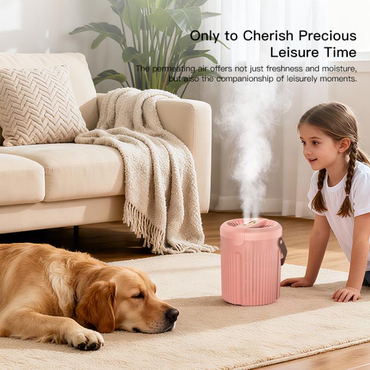 Dual-hole 2L Large Capacity Desktop Humidifier