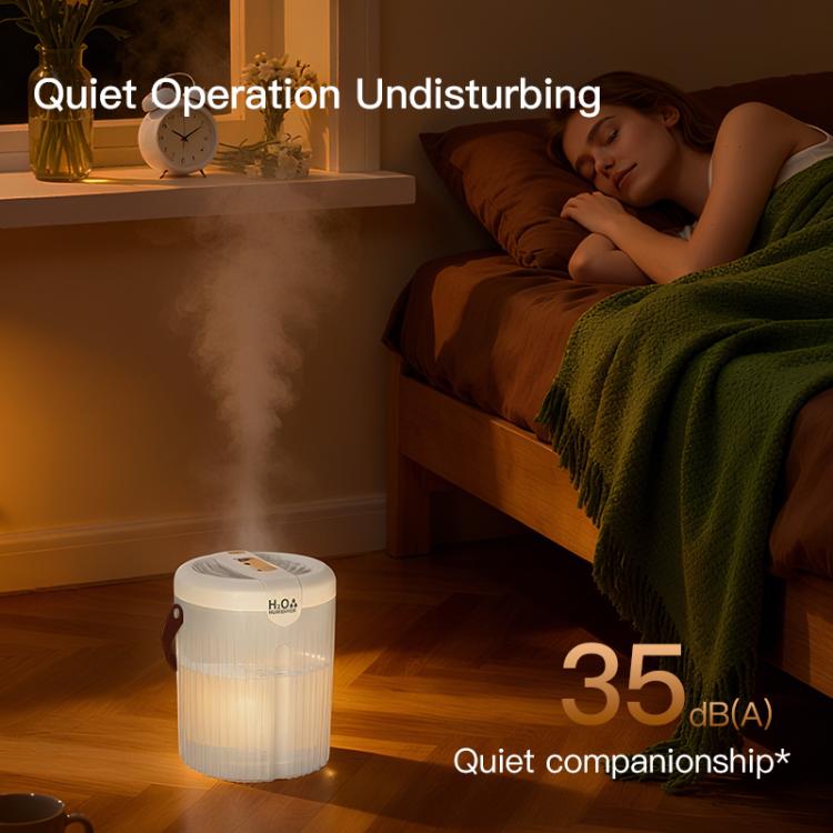 Dual-hole 2L Large Capacity Desktop Humidifier