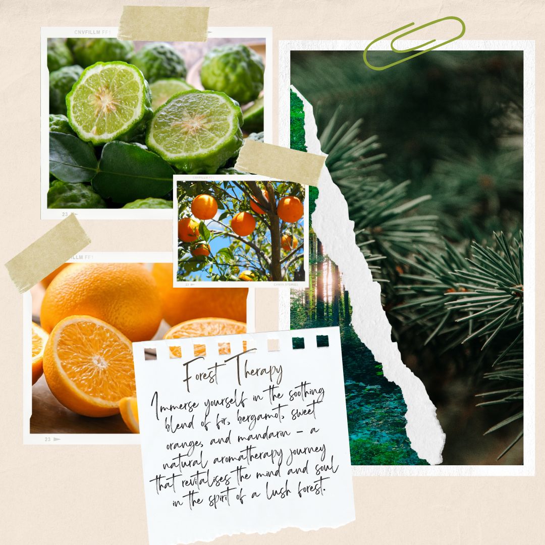 Forest Therapy Aromatherapy Perfume Oil