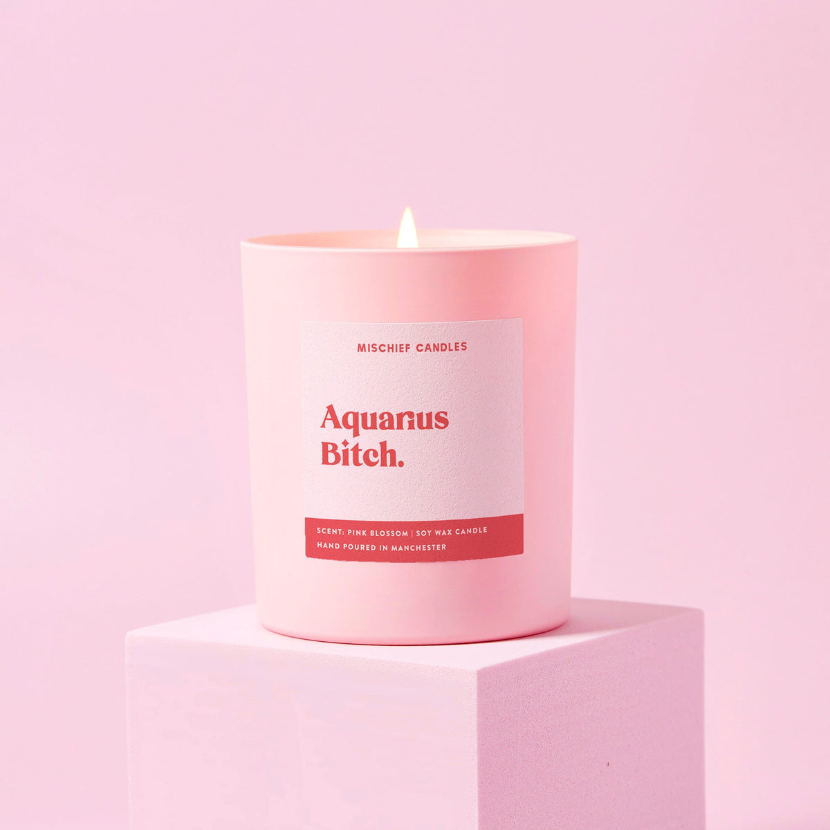 Aquarius Bitch Candle