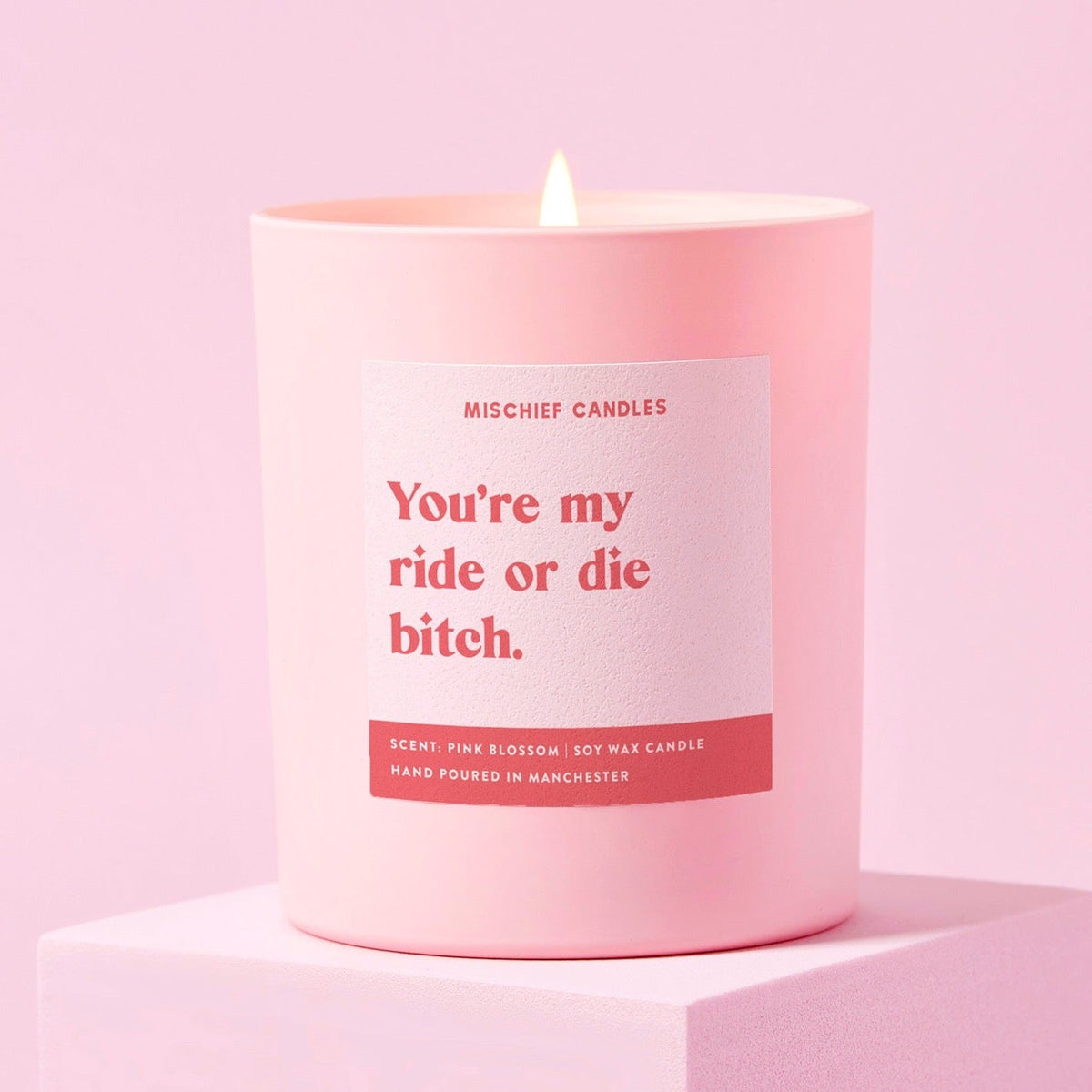 You're My Ride or Die Bitch Candle