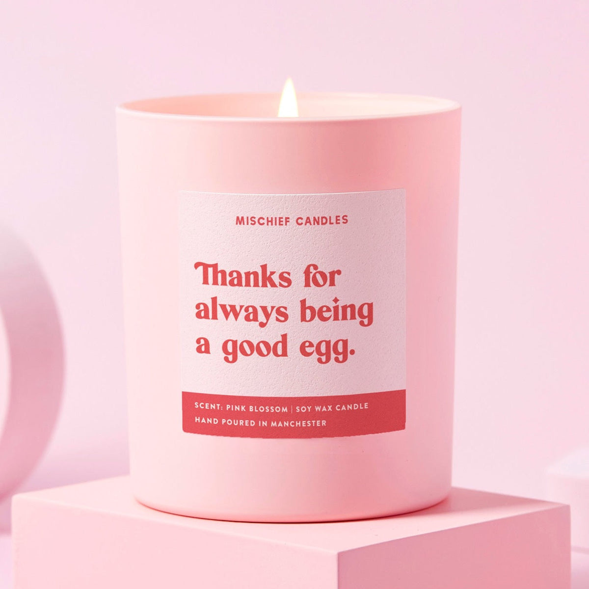 Thanks For Always Being a Good Egg Candle