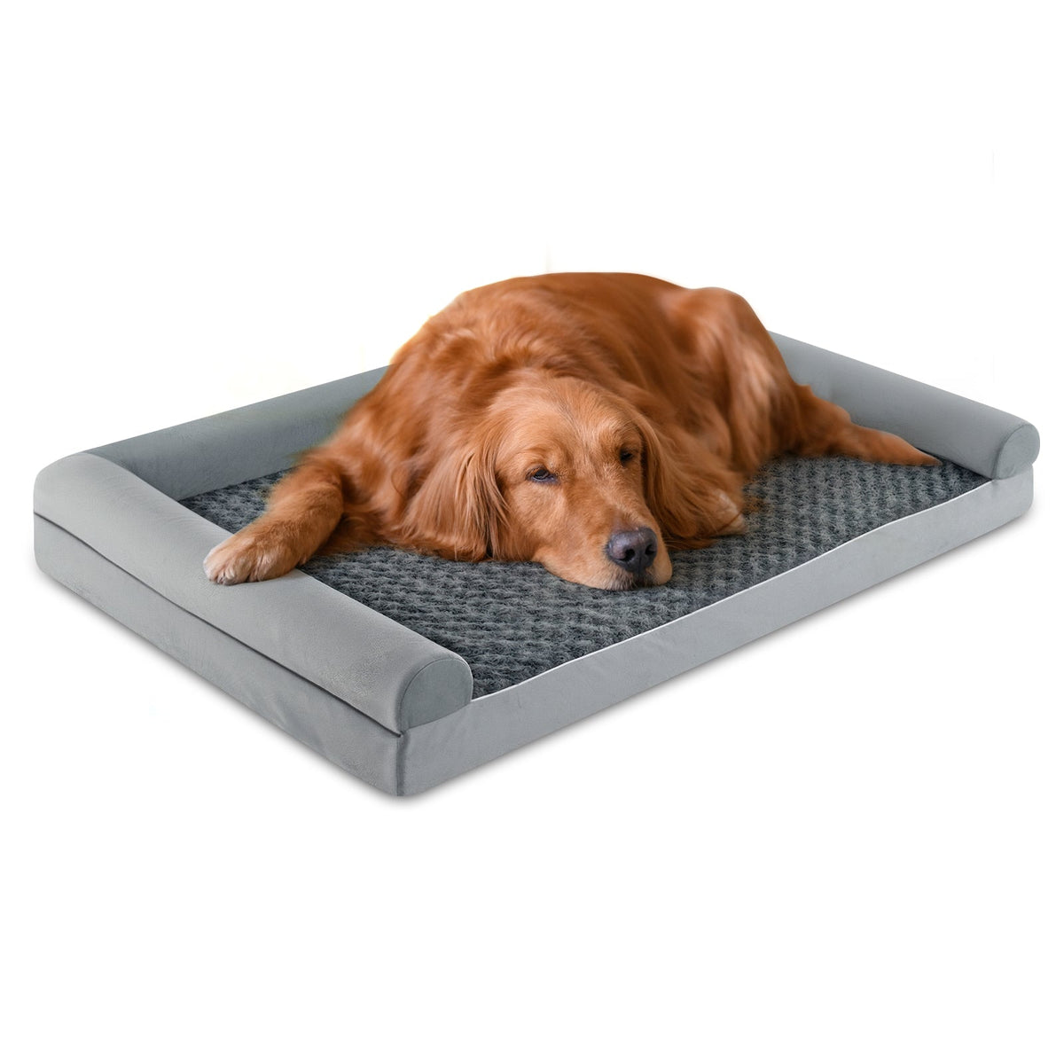 Orthopedic Foam Dog Bed L Sized Large Pet Bed-L
