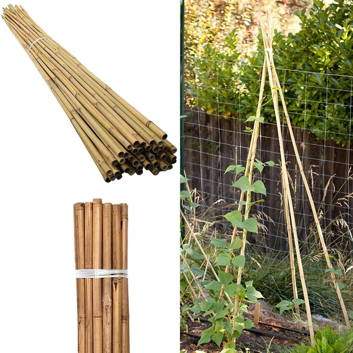 100x 5FT Bamboo Canes 150 CM