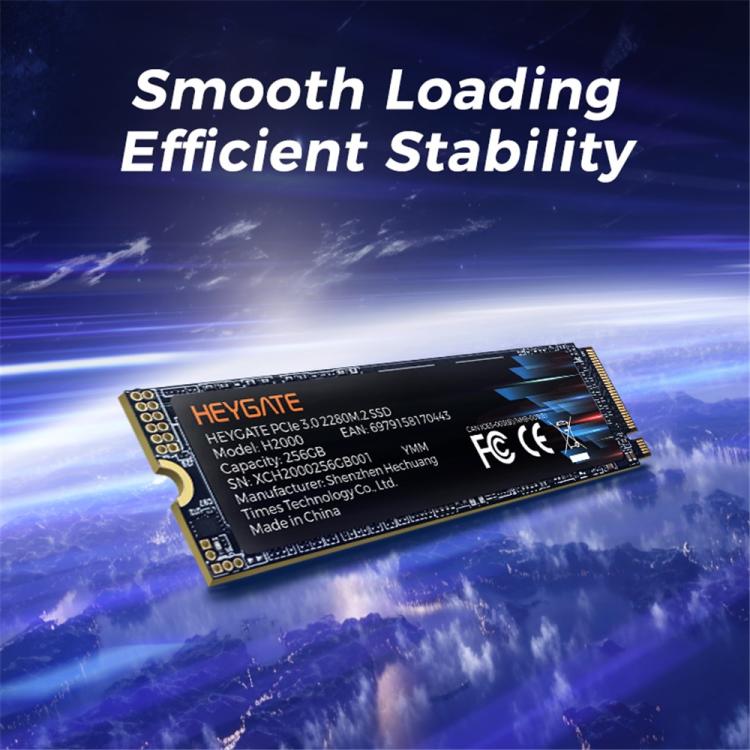HEYGATE H2000 PCIe 3.0 NVMe 2400MB/s Read 3D NAND M.2 2280 SSD, 256G, 512G