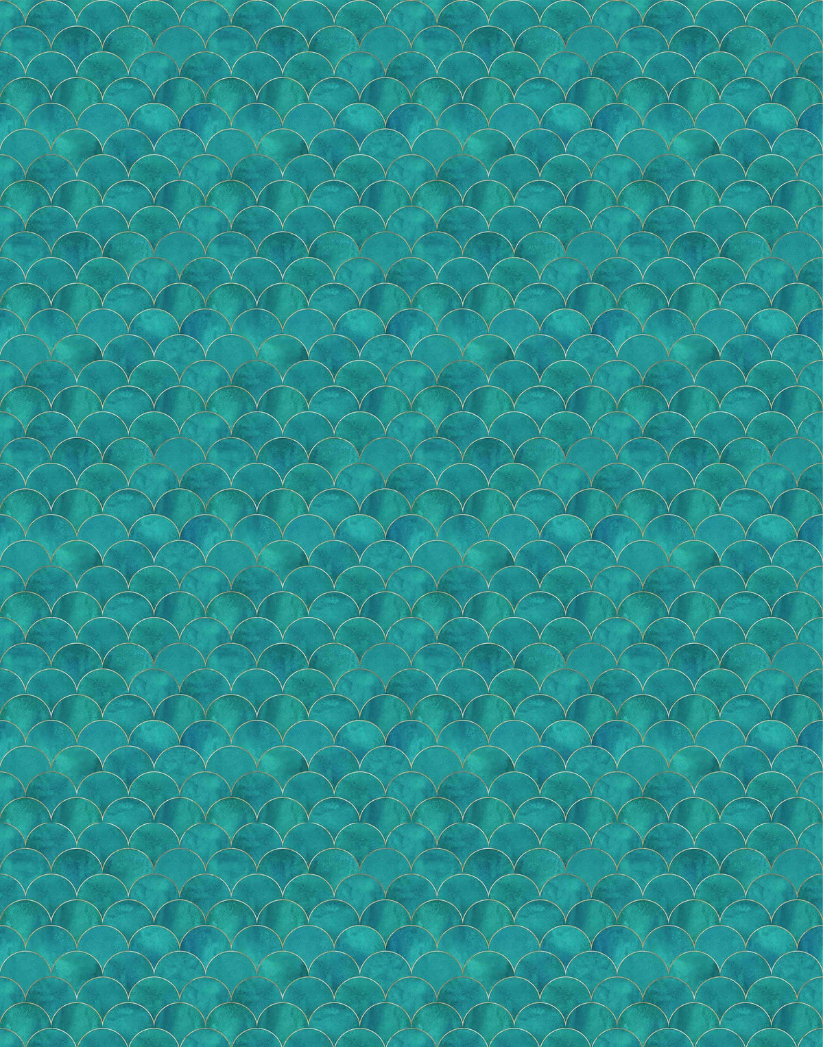 Scallop