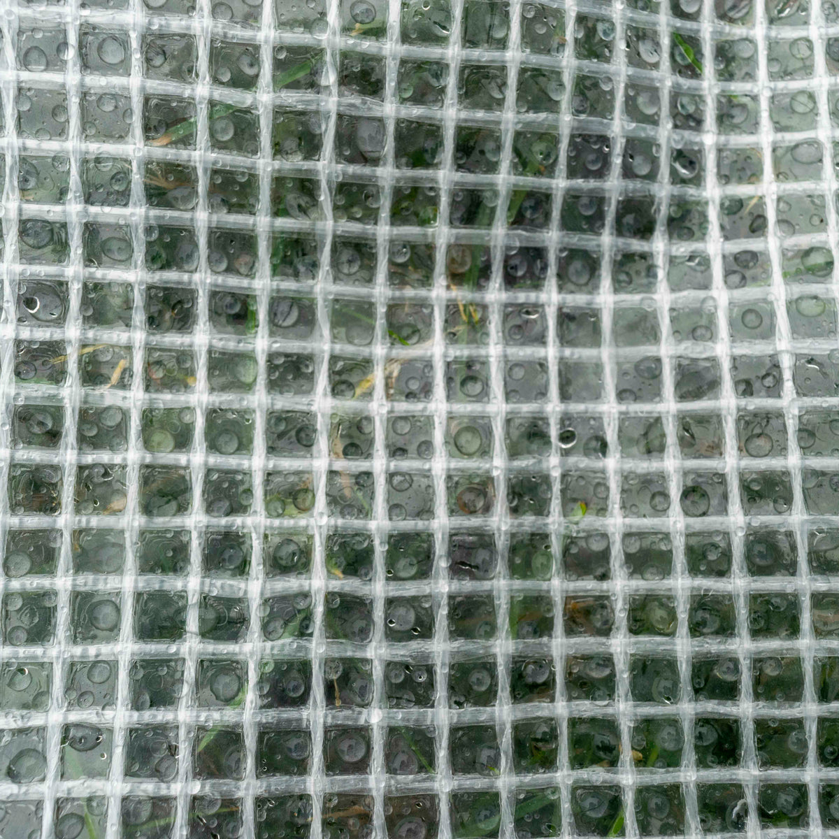 Clear M-Grade Tarpaulin with 10 Metres of 6mm Bungee Rope