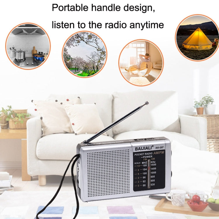 BAIJIALI BJL228 Retro Portable Two Band FM AM Radio Built-in Speaker, BJL228 White, BJL228 Black