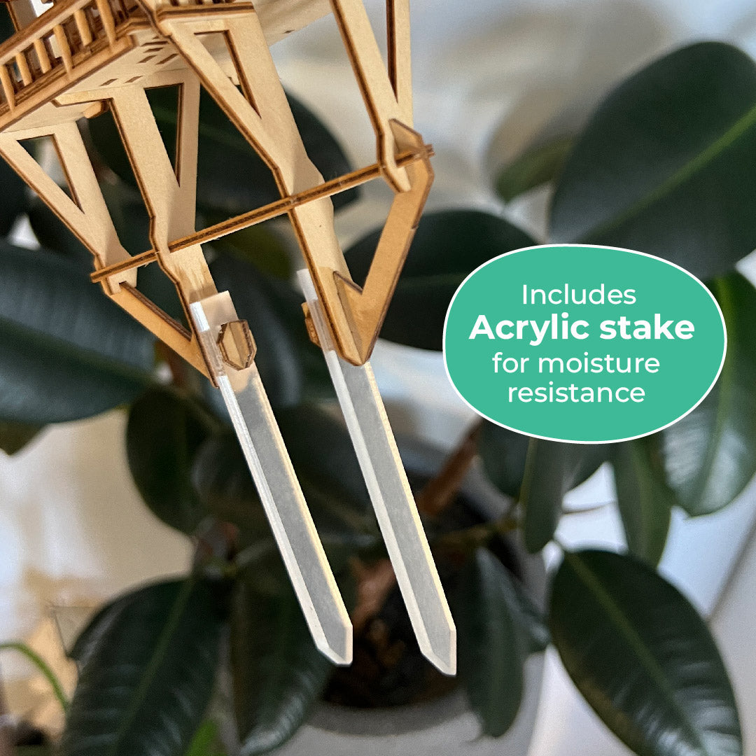 Tropical Lookout + Free USB Light