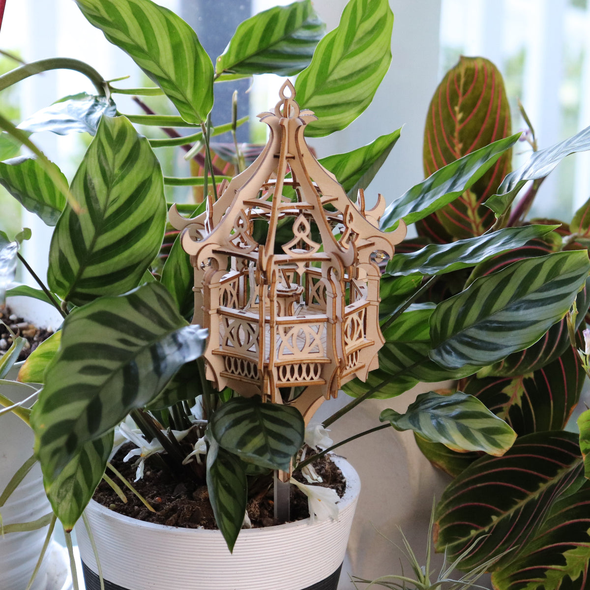 Summer Pavilion + Free USB Light