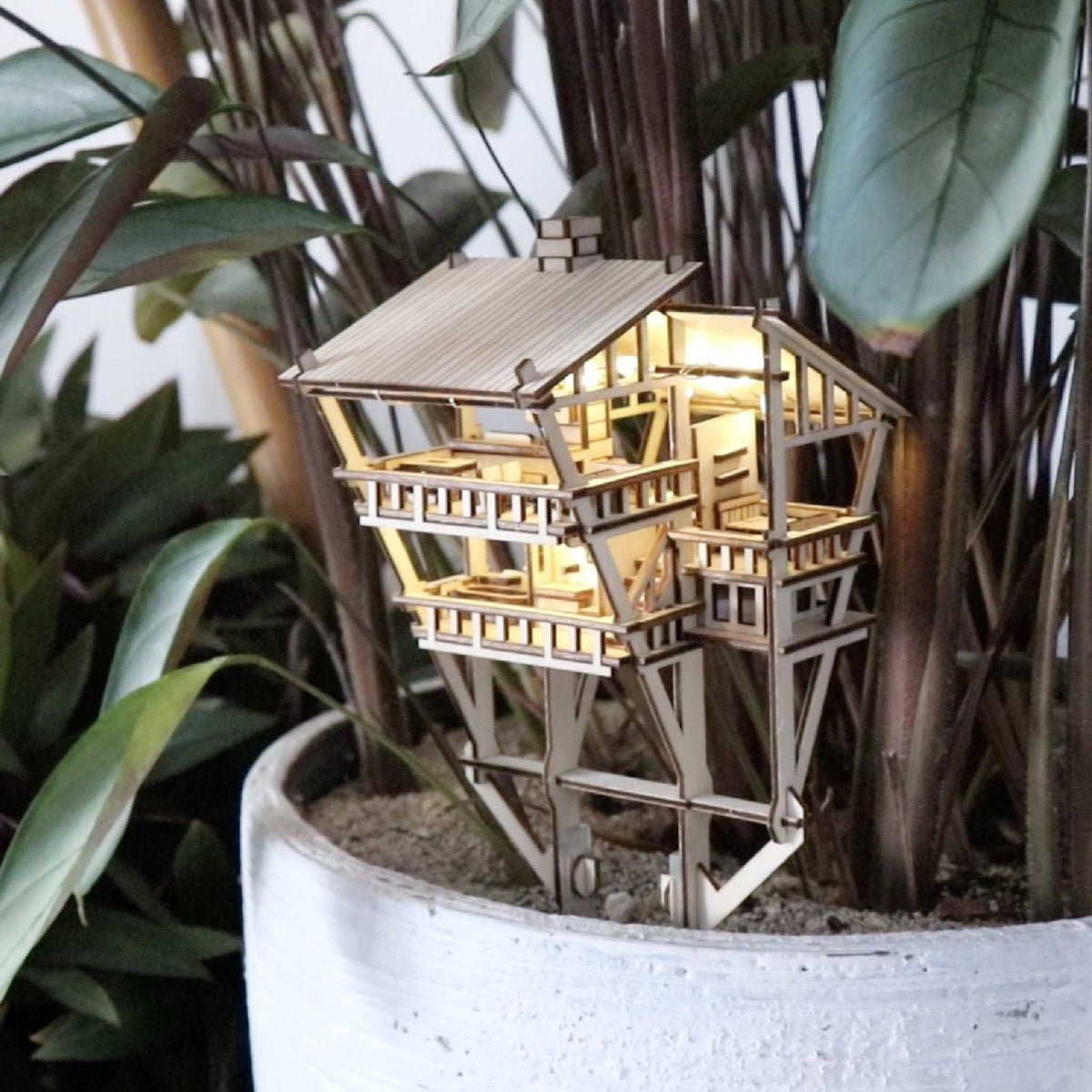 Tropical Lookout + Free USB Light