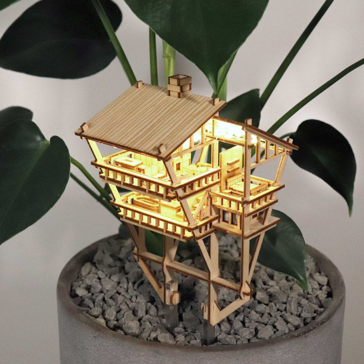 Tropical Lookout + Free USB Light