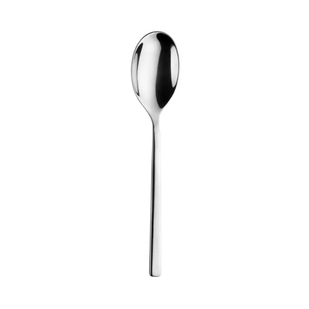 Pintinox Tie - Table Spoon
