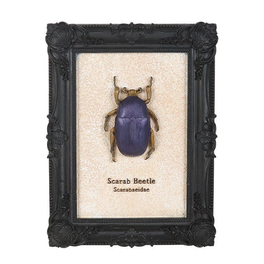 Scarab Beetle Framed Wall Art Print