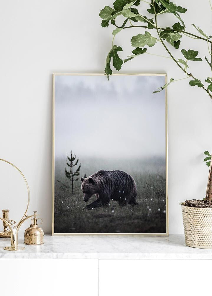 Bear Poster